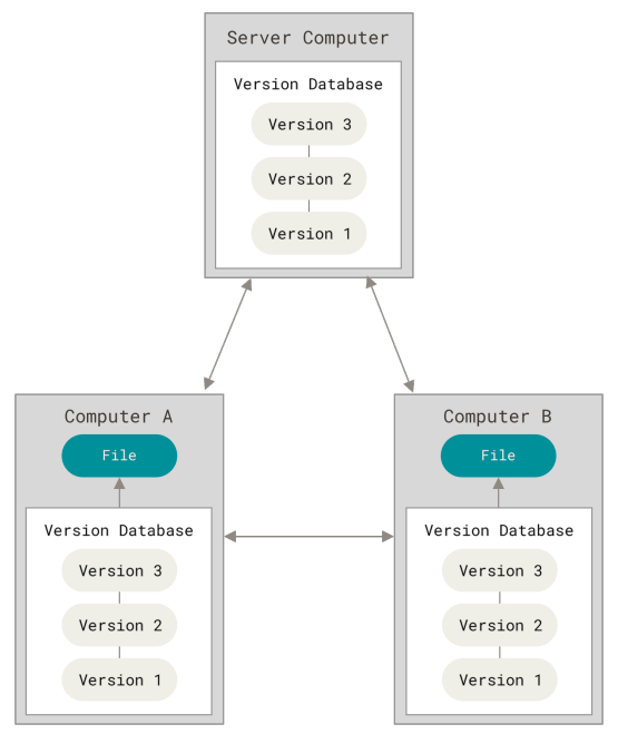 Figure 3. Distributed version control diagram