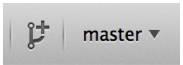 Figure 181. “Create Branch” button on macOS